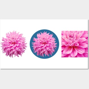 Pink Dahlia Floral Art Posters and Art